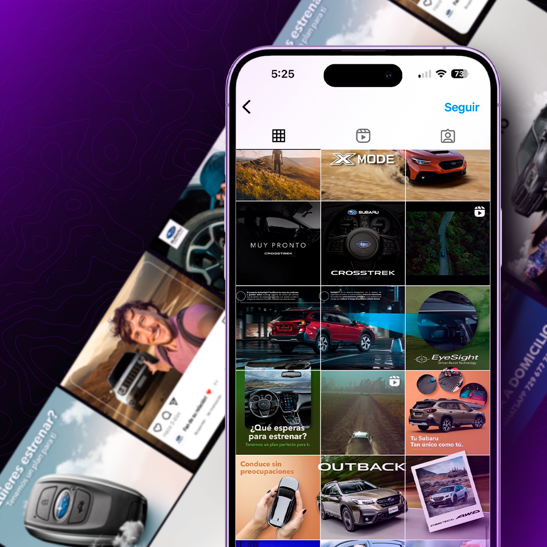 Dealers automotrices- Social media y creative direction