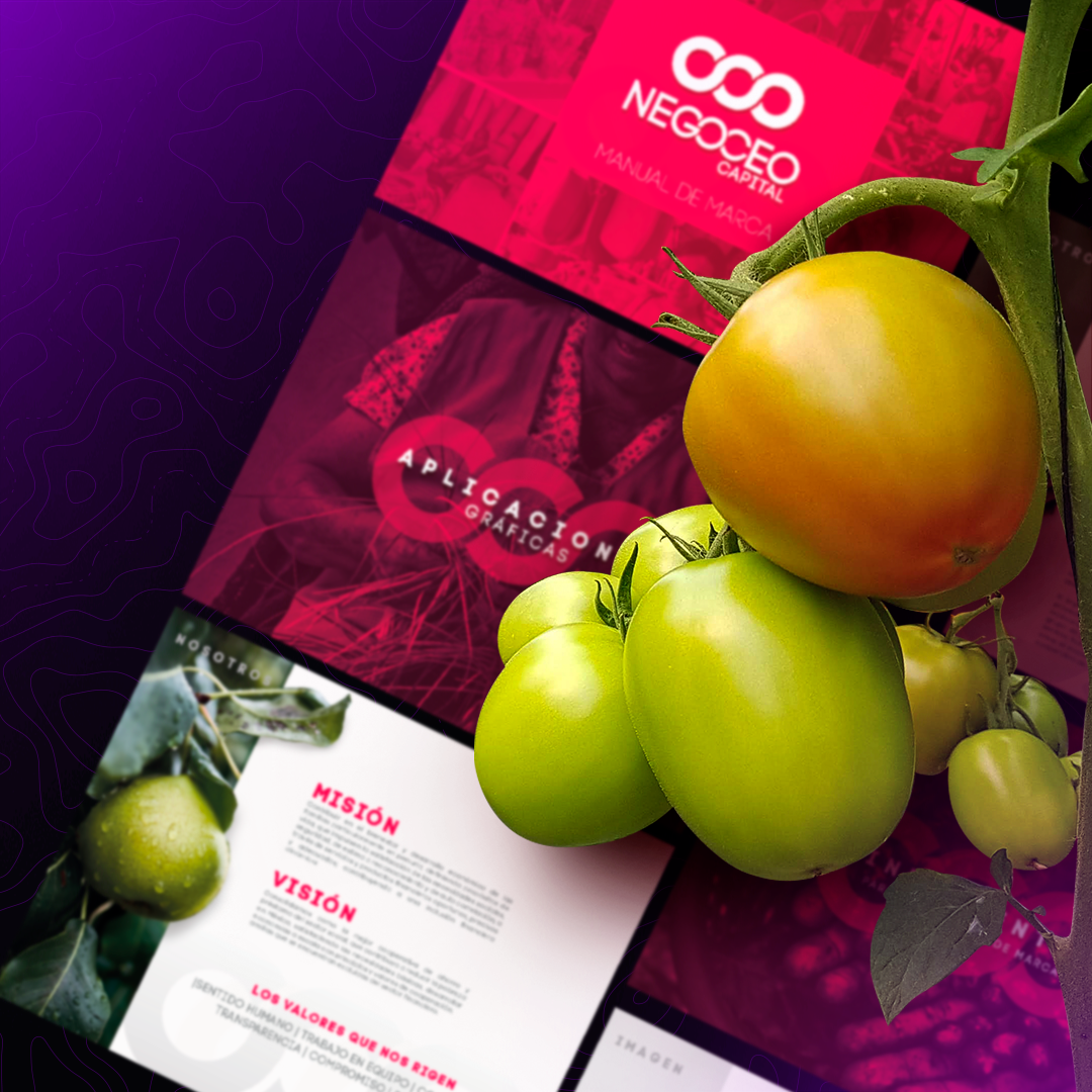 Negoceo Capital- Branding